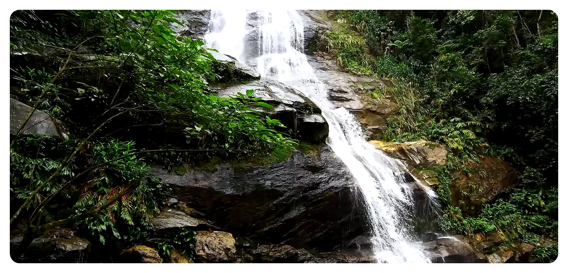 Dense forest and waterfall in Tijuca National Park