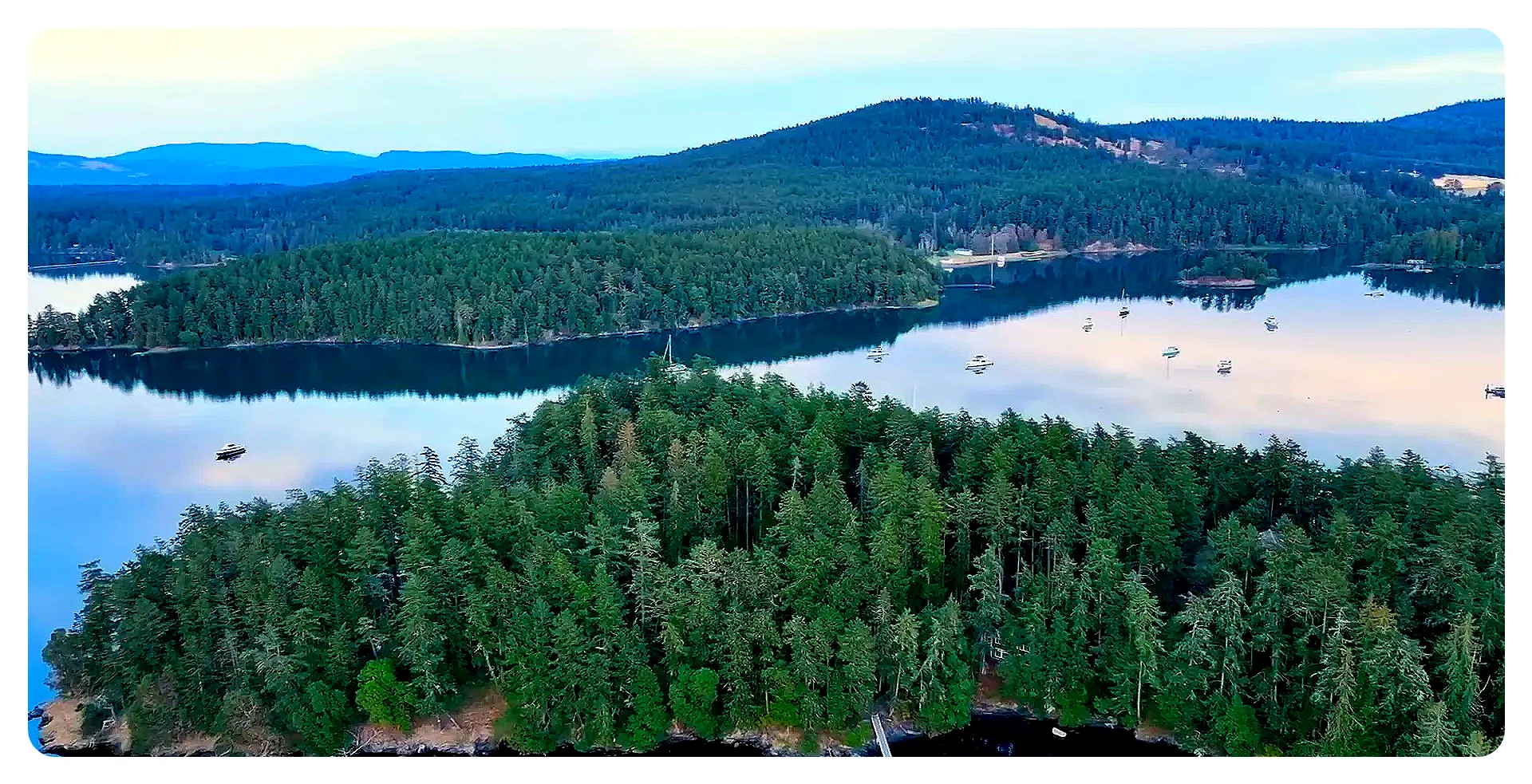 Orca whale spotted near San Juan Islands