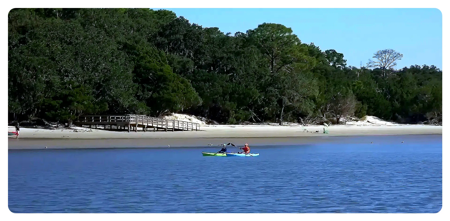 Golden Isles white sandy beach and live oak trees