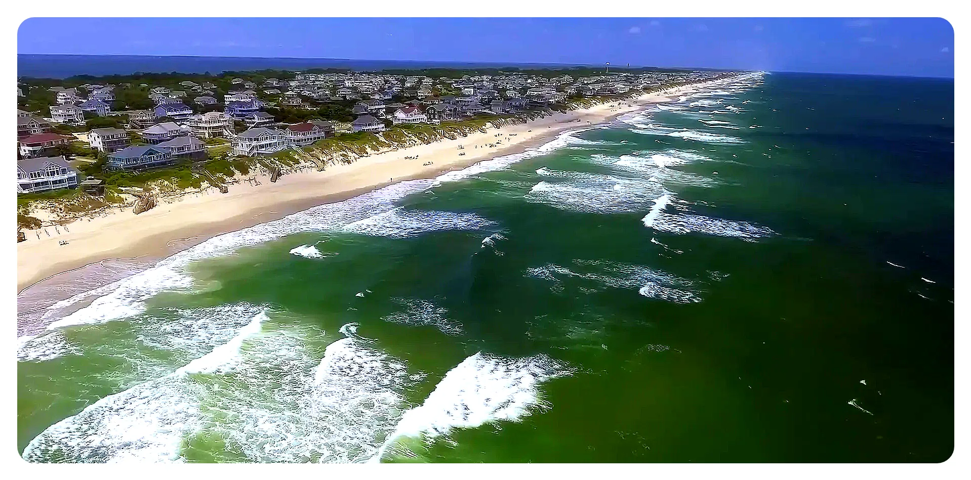 Wild horses on Outer Banks dunes