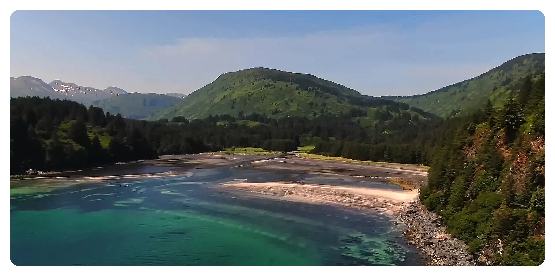 Kodiak Island wilderness and brown bear