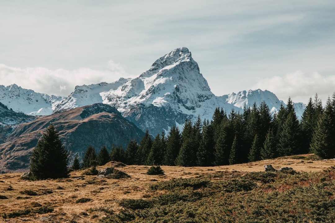 Swiss Alps landscape