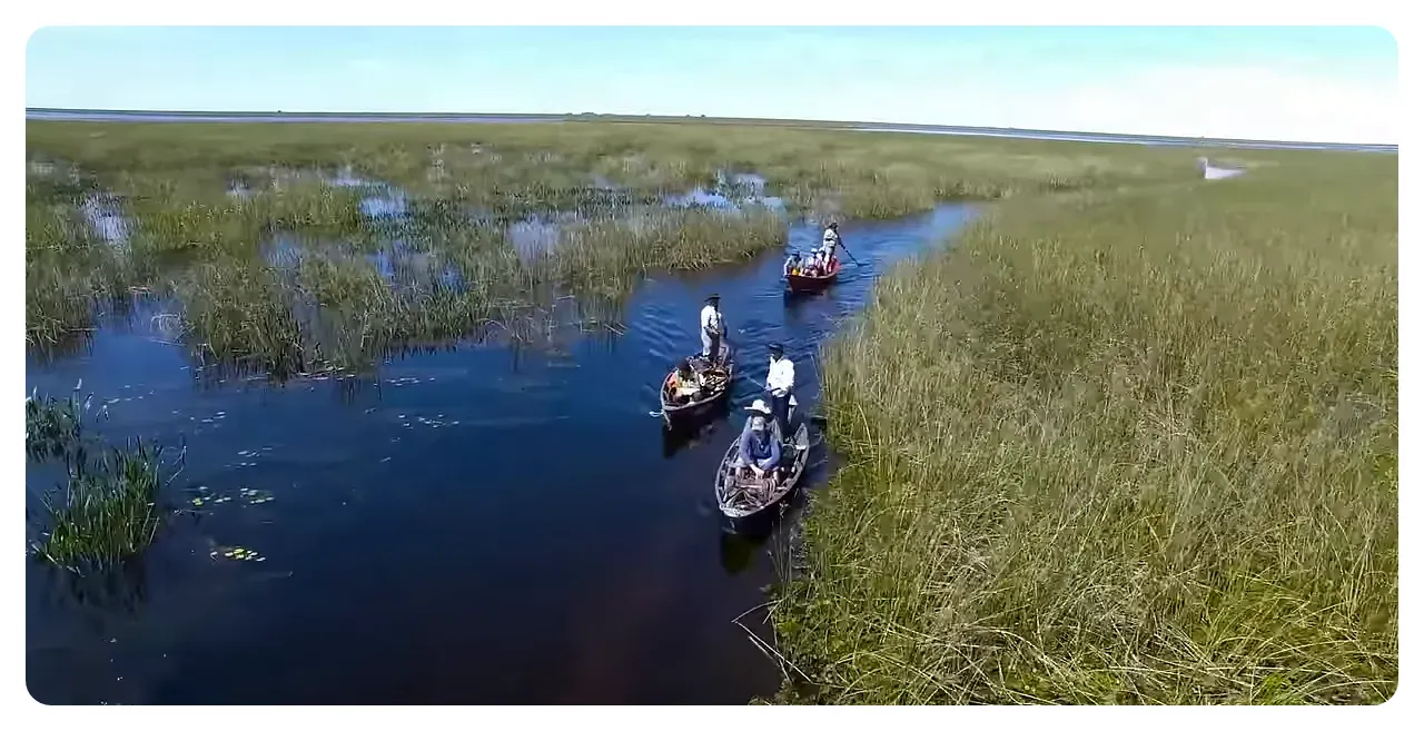 Ibera Wetlands river with surrounded marshland and wildlife