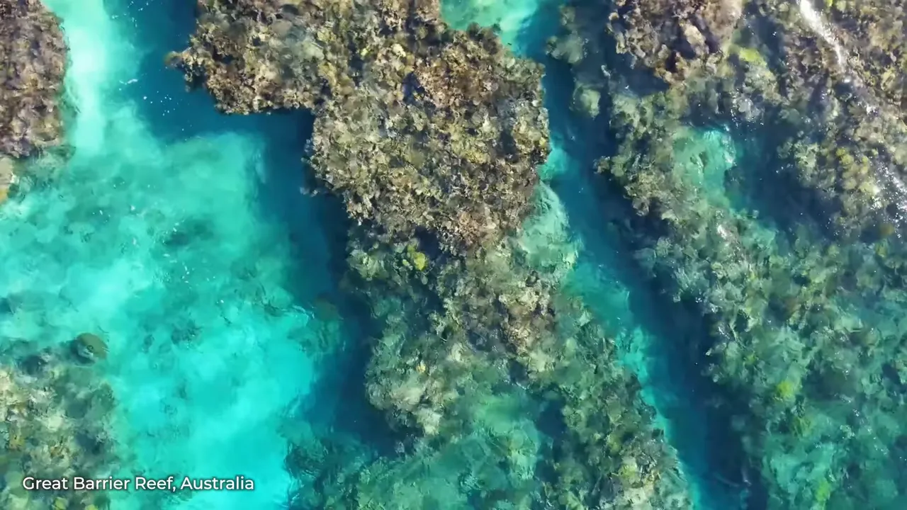 Aerial view of the Great Barrier Reef's coral mosaics