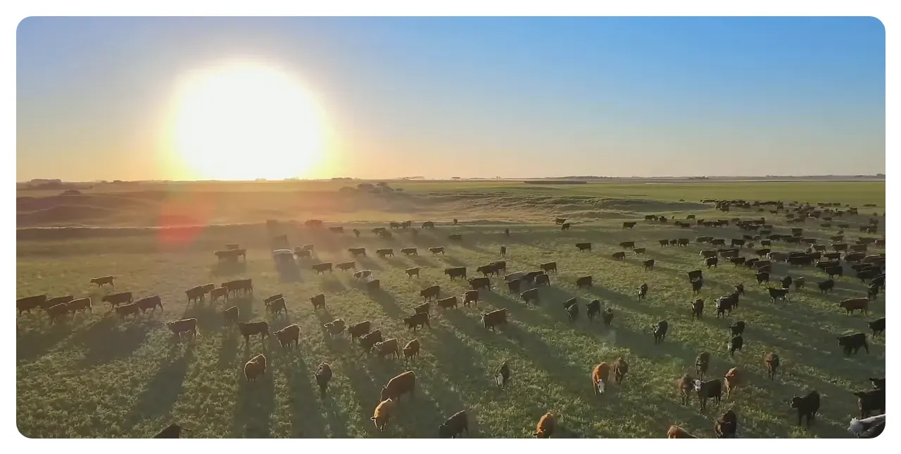 Map of Argentina showing long shape in southern South America