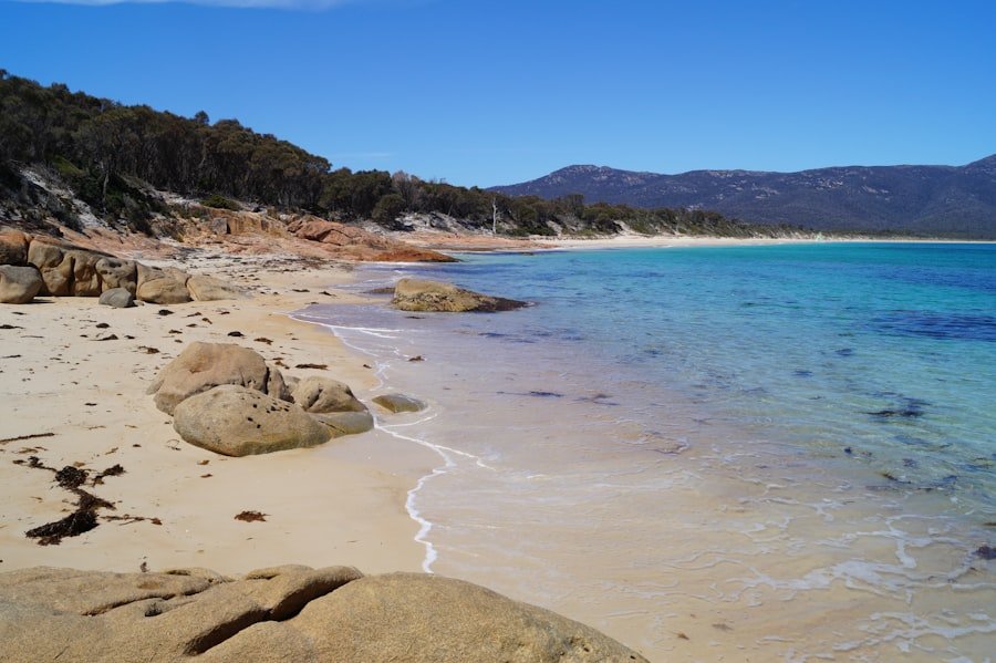 tasmania itinerary 10 days