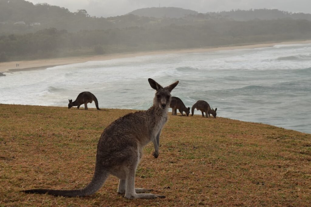 Photo trips to australia