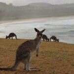 Photo trips to australia