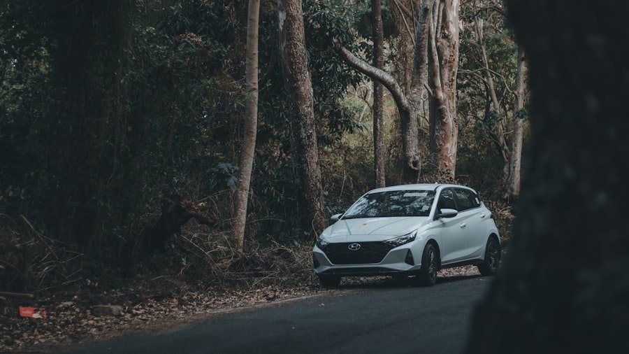 Photo drives Australia