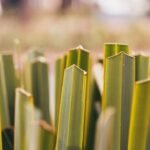 Photo Travel North America