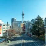 Photo day trip from auckland