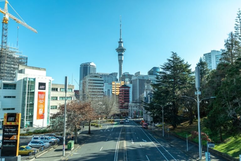 Photo day trip from auckland