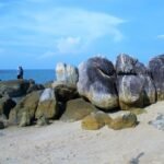 Photo indonesia tours