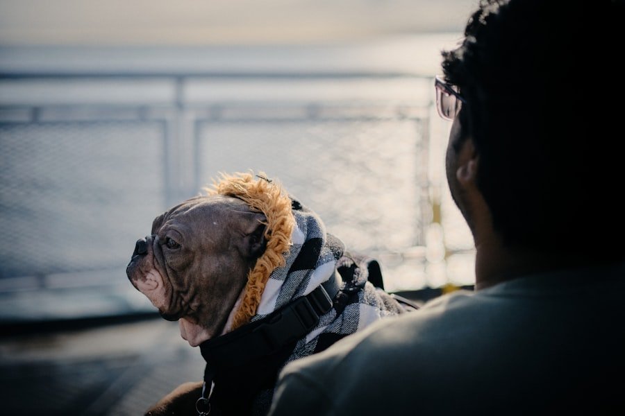 Photo travel with pets