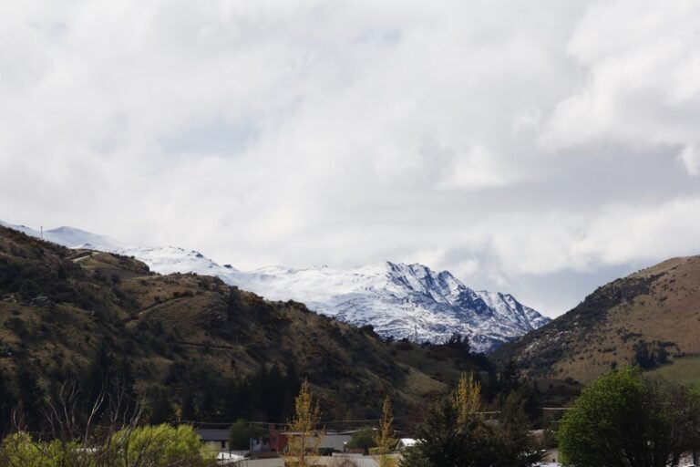 Photo visit new zealand