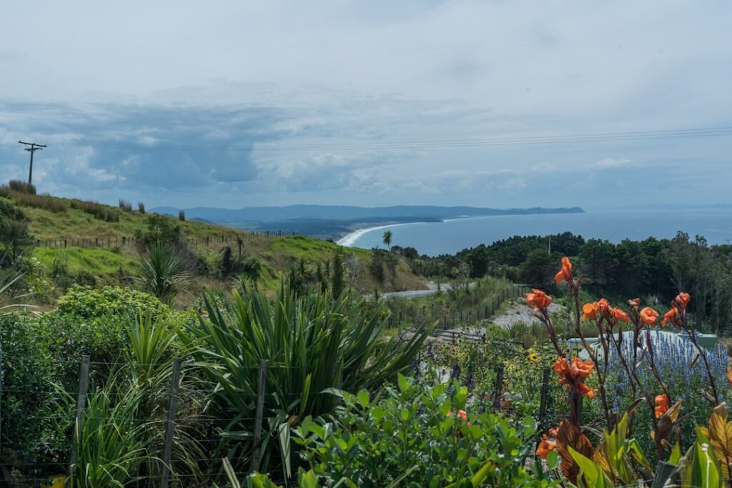 Photo auckland city tour