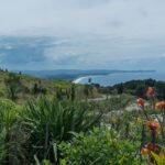 Photo auckland city tour