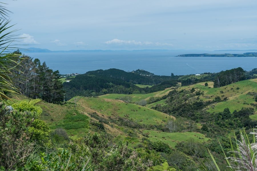 Photo auckland city tour