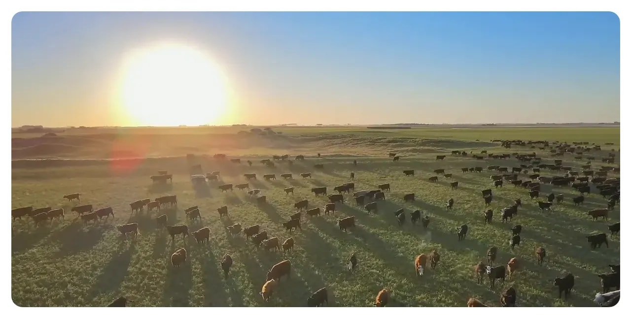 Map of Argentina showing long shape in southern South America